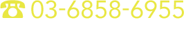 03-6858-6955 受付時間 10:00～17:00【土日祝日除く】