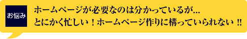 ホームページが必要なのは分かっているが...とにかく忙しい！ホームページ作りに構っていられない !!