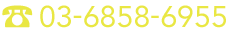 03-6858-6955 受付時間 10:00～17:00【土日祝日除く】