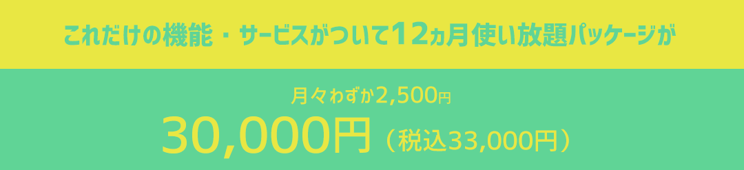 これだけの機能・サービスがついて12ヵ月使い放題パッケージが月々わずか2,500円｜30,000円（税込33,000円）