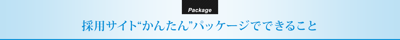 採用サイト“かんたん”パッケージでできること