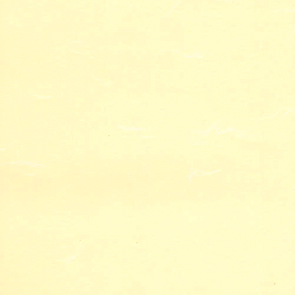 カラー和紙（大礼紙）Ａ４判　黄の画像2
