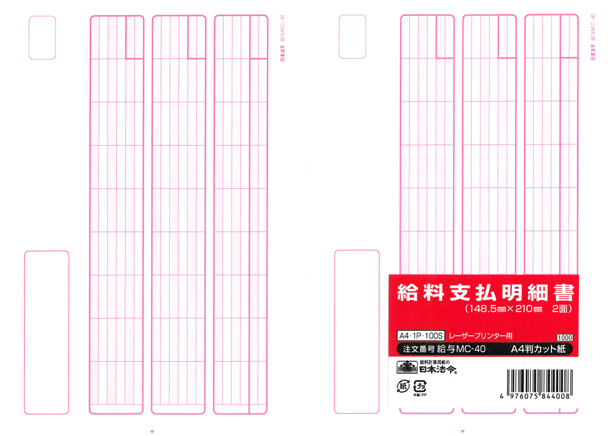 給料支払明細書の画像