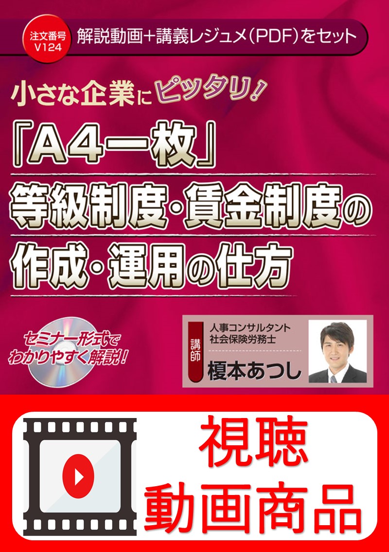 [動画視聴サービス商品]　小さな企業にピッタリ！「A4一枚」等級制度・賃金制度の作成・運用の仕方の画像