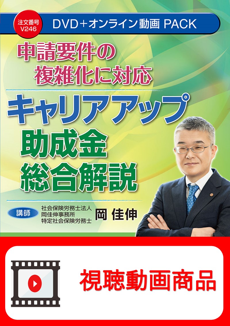 [動画視聴サービス商品]　申請要件の複雑化に対応 キャリアアップ助成金総合解説の画像
