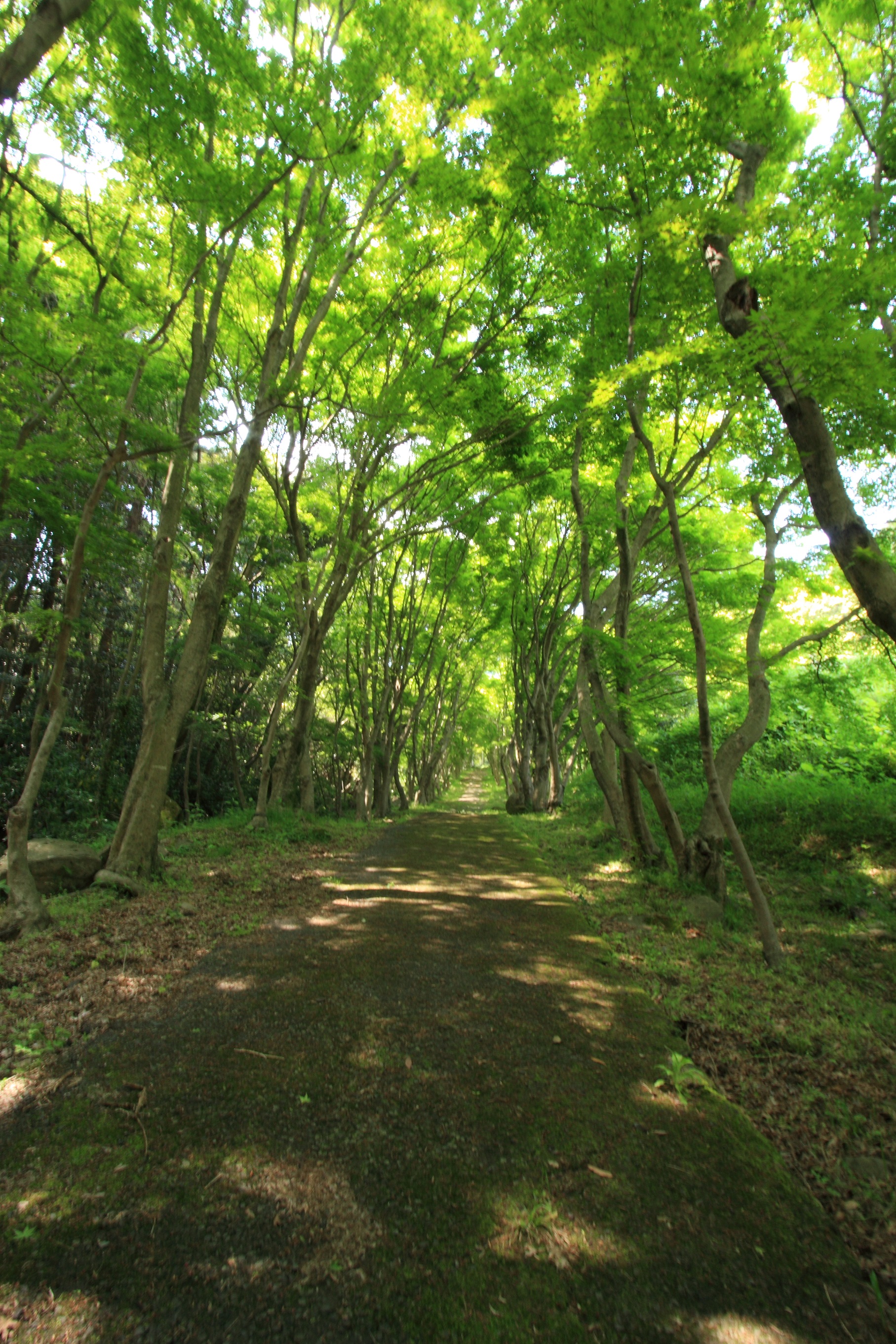 ※開催延期※【東京5/30-31】『就業規則』見直し＆業務開拓セミナーの画像