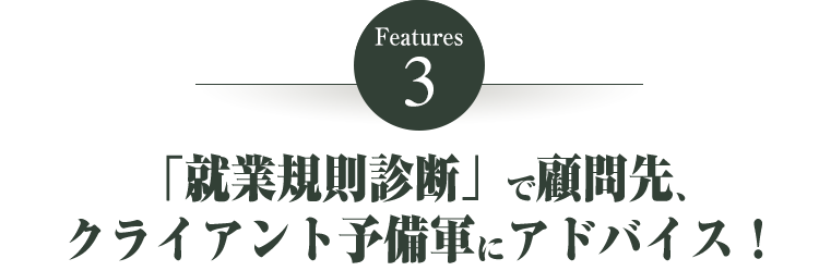 STEP3.“就業規則診断書”で訪問先、クライアント予備軍にアドバイス！