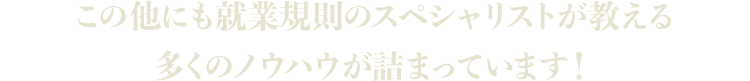 この他にも就業規則のスペシャリストが教える多くのノウハウが詰まっています！