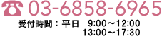 03-6858-6965 受付時間 平日9:30～12:00 13:00～17:30