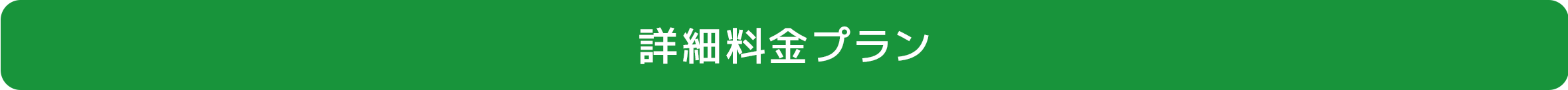 詳細料金プラン