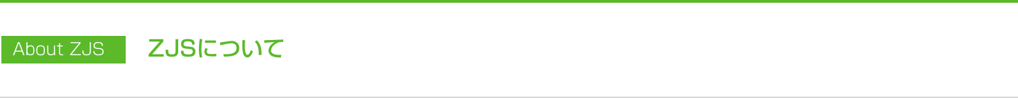 ZJSとは
